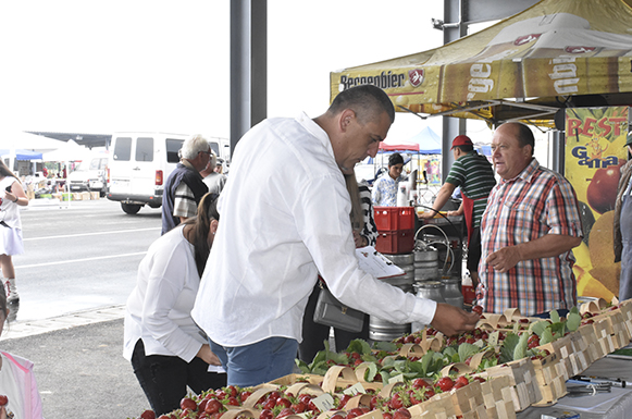 MUNCA MEA <br/> în județ